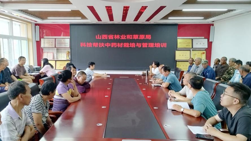 林下参种植技术