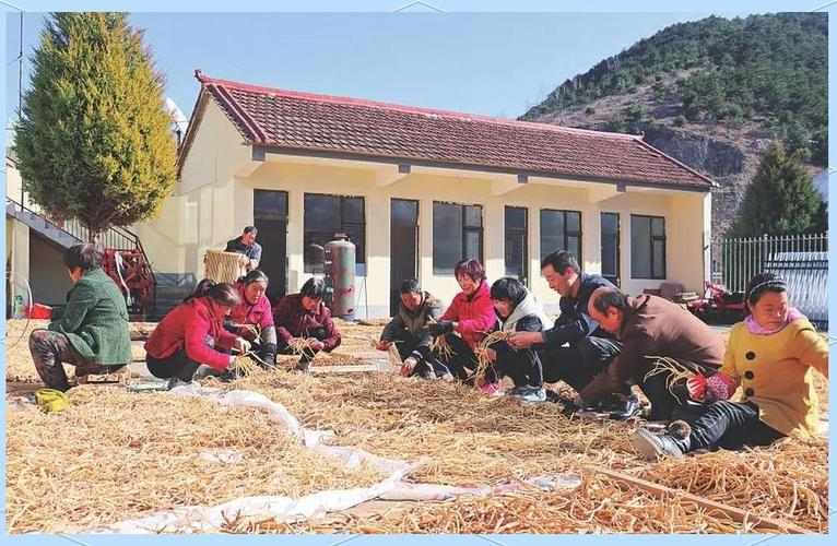 林下参种植技术