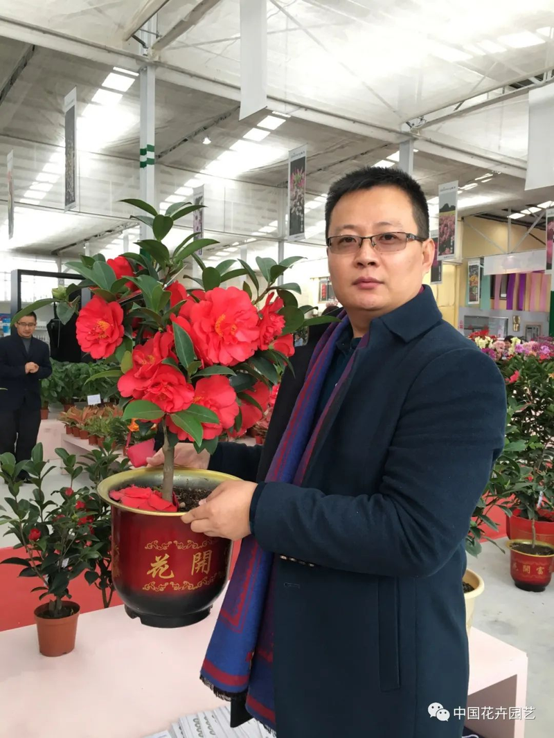 Time and method of marriage of tea flowers