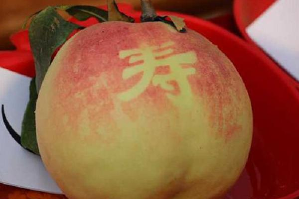 Technology for the cultivation of chinese peaches