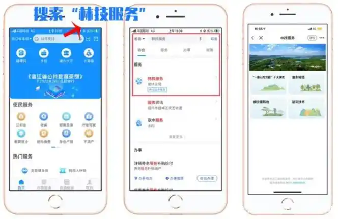 种植技术与经验