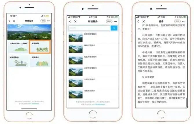 种植技术与经验