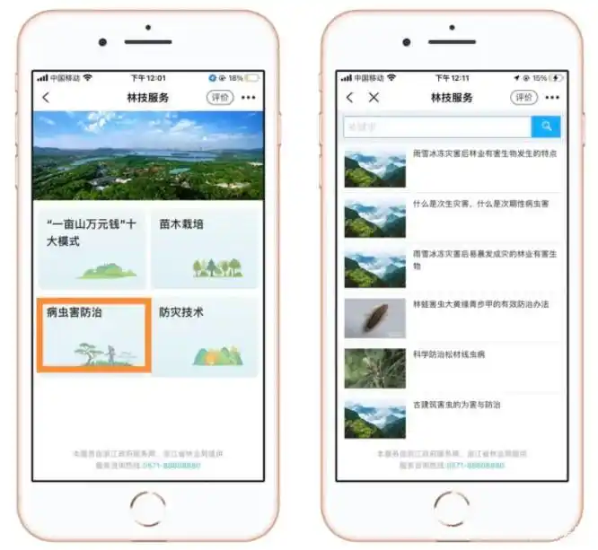 种植技术与经验