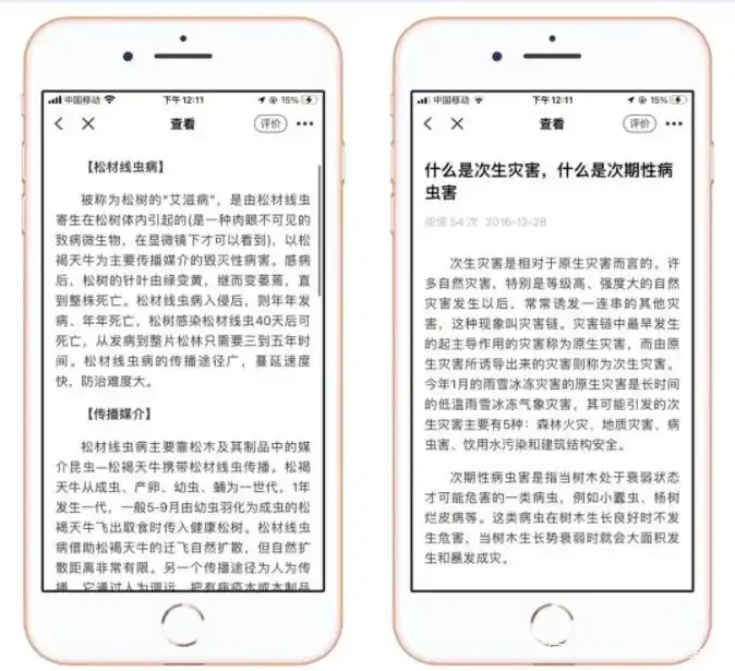 种植技术与经验