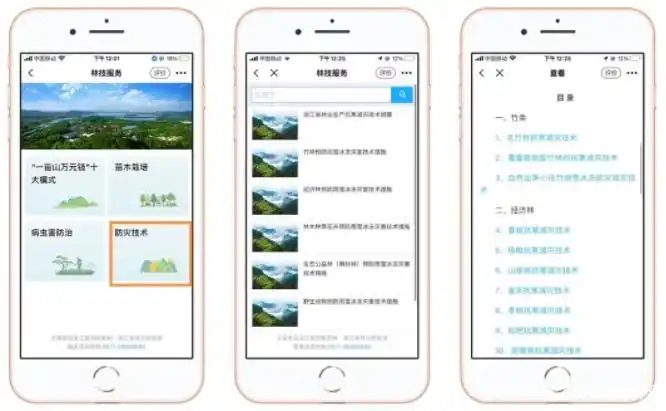 种植技术与经验