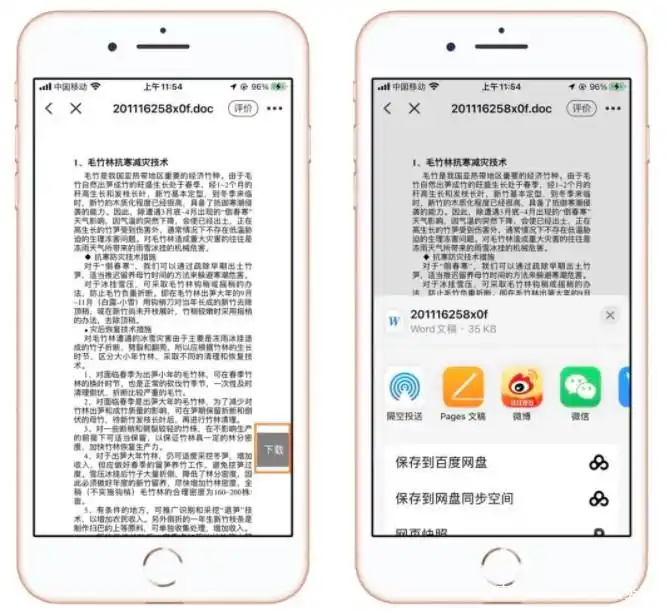 种植技术与经验