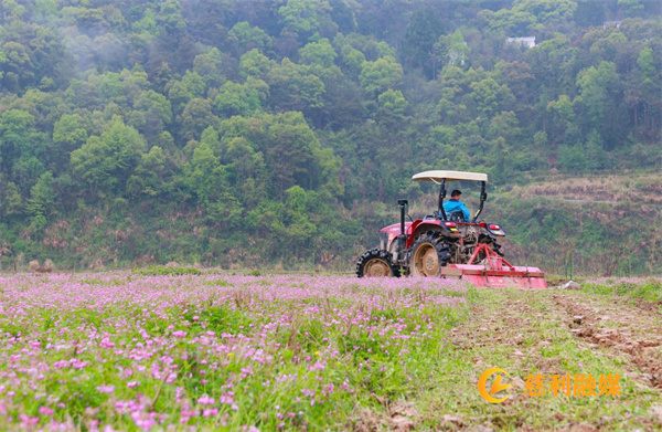 Technologies for the cultivation of red flowers