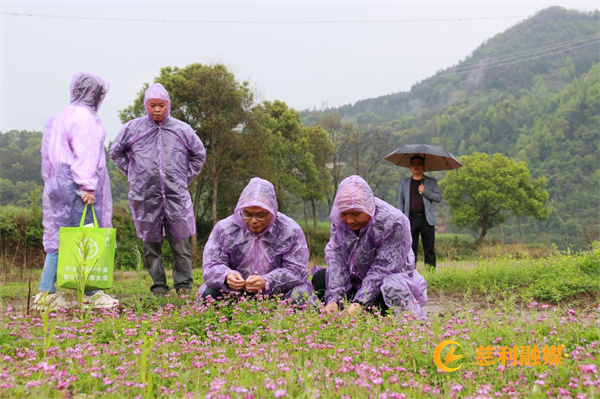 Technologies for the cultivation of red flowers