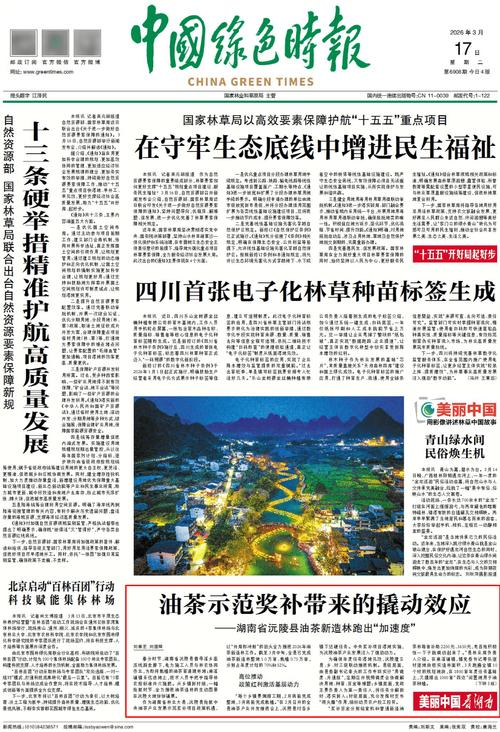 油茶苗种植技术