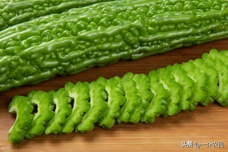 黄金瓜种植技术