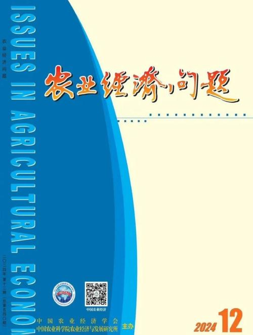 中国经济问题投稿经验