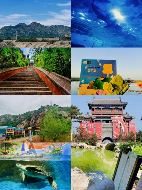 南戴河滑沙场票价