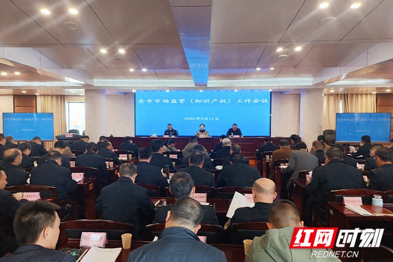 2026知识产权典型案例