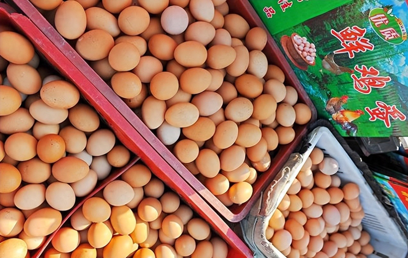 鸡蛋行情预测最新消息