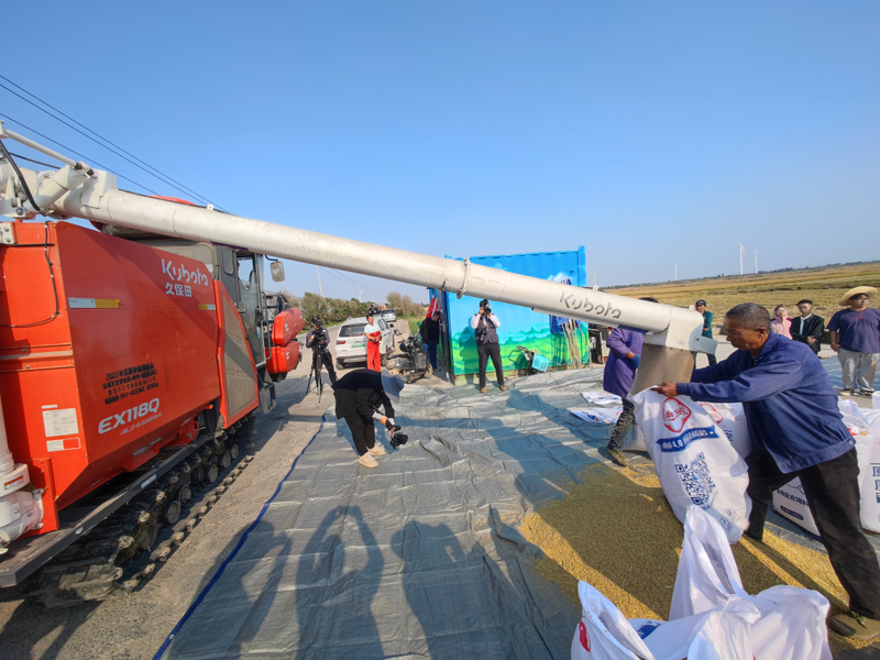 2026 north-east rice cultivation techniques