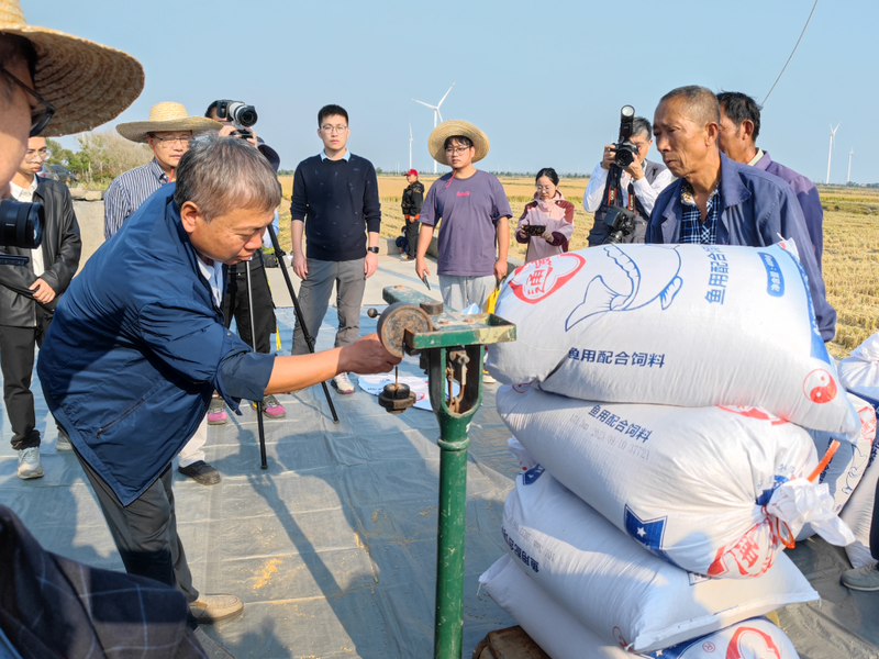 2026 north-east rice cultivation techniques