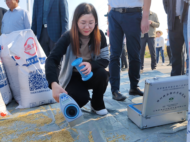 2026 north-east rice cultivation techniques