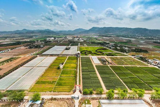 地中海气候类型特点