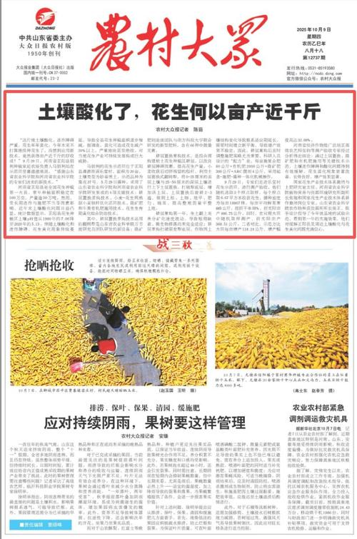 红花草种植技术