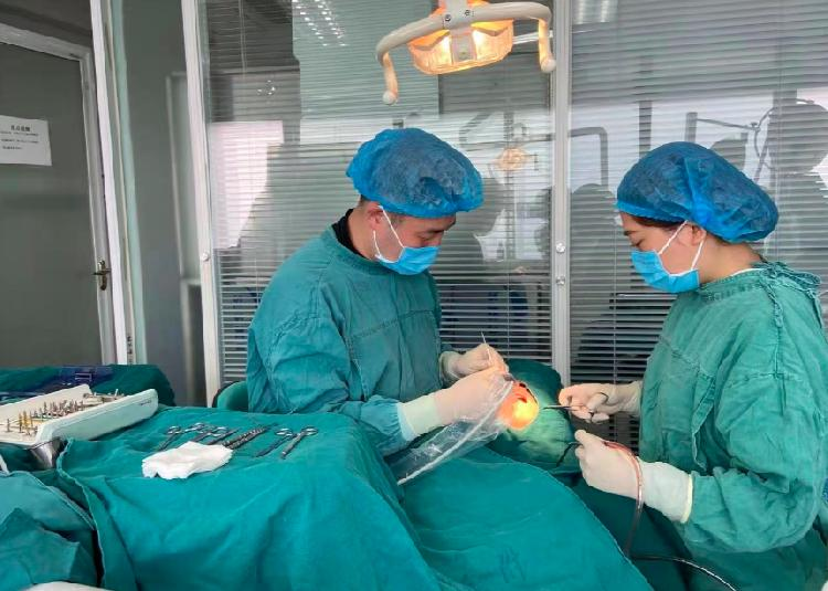 Teeth cultivation techniques