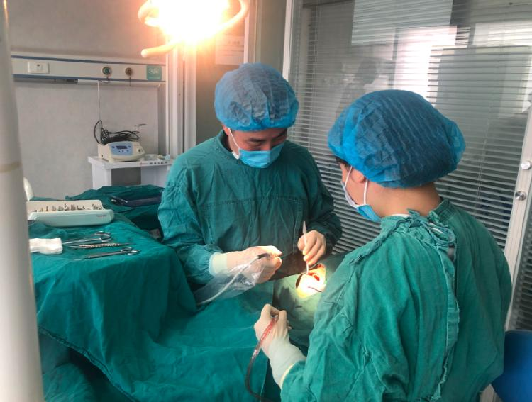 Teeth cultivation techniques