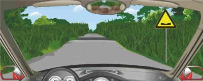 深圳驾驶理论考试