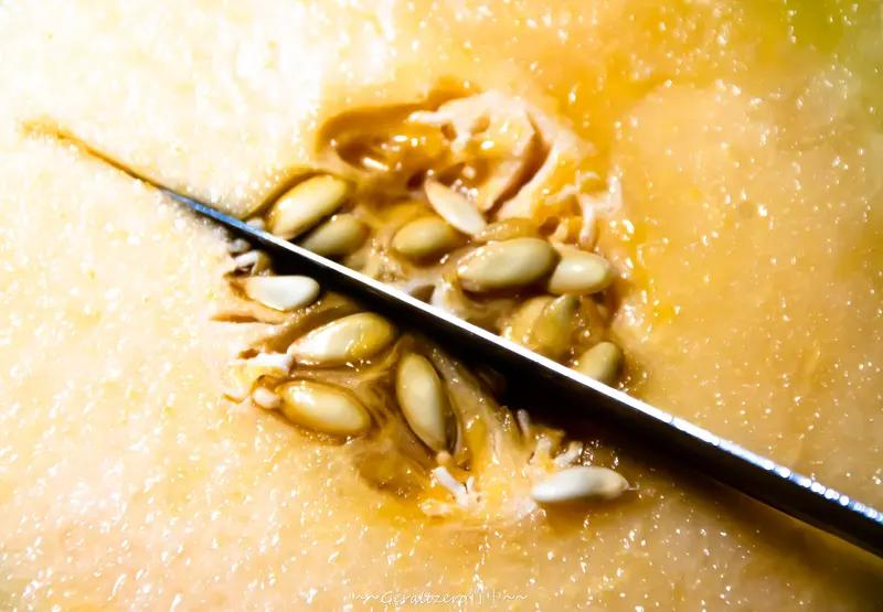 黄金瓜种植技术