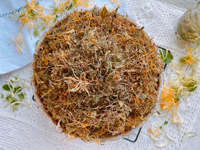 盆栽金银花种植技术