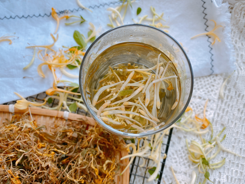 盆栽金银花种植技术