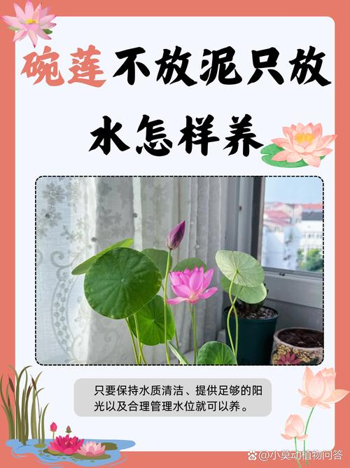 The way the bowls grow