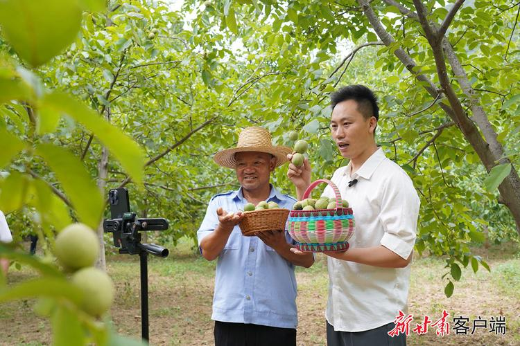 寒蒜苗种植技术