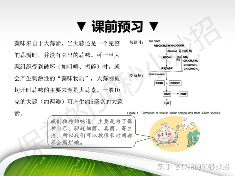 Garlic farming techniques