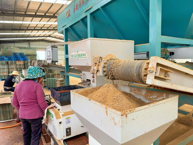 2026东北水稻种植技术