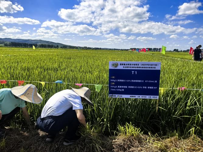 2026东北水稻种植技术