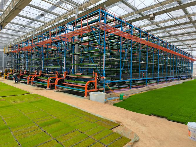 2026东北水稻种植技术