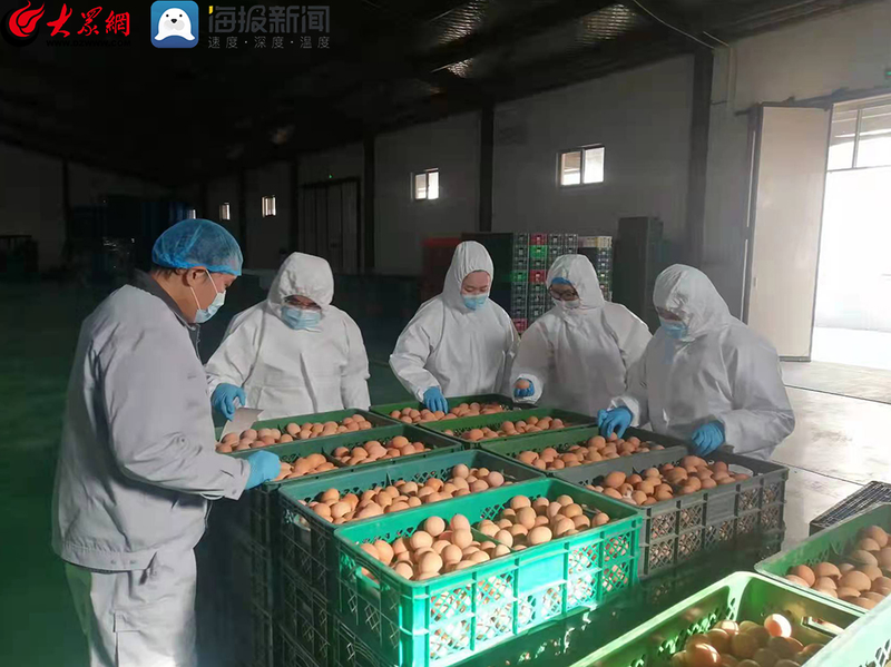 农产品质量安全知识问答