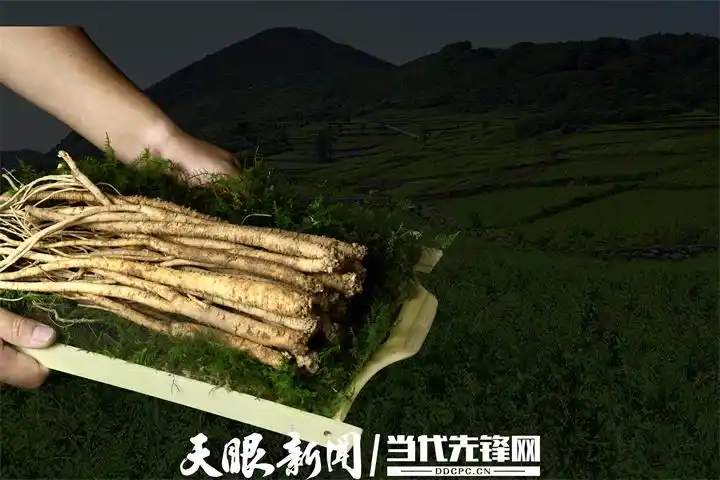 Cultivation methods involving turkish parties