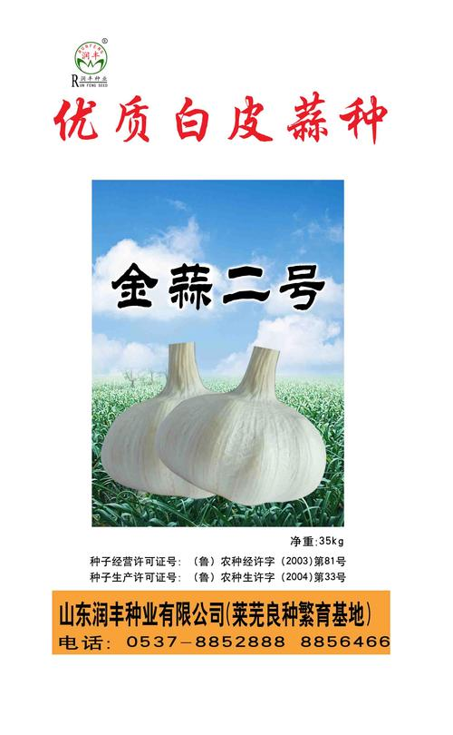 大蒜的种植技术