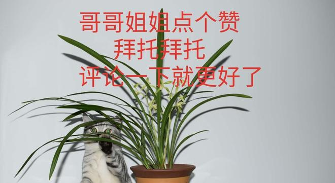 The method of building the red peach