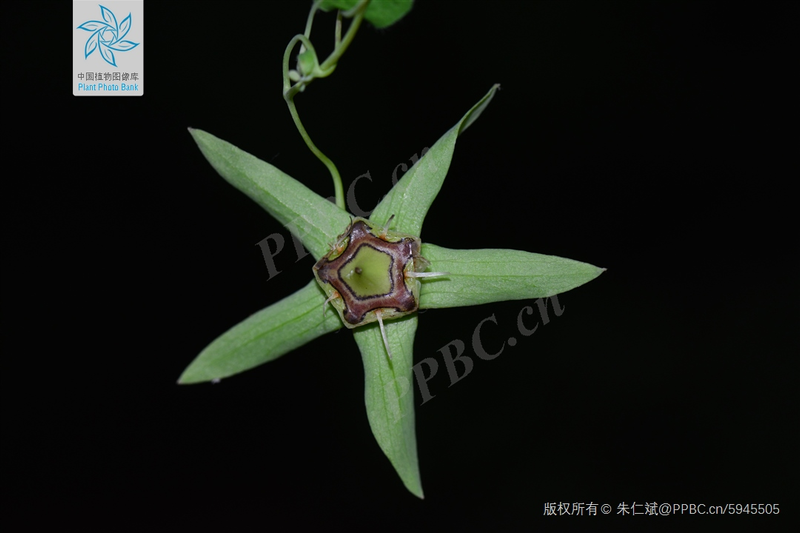 Zinwon's way of making wine