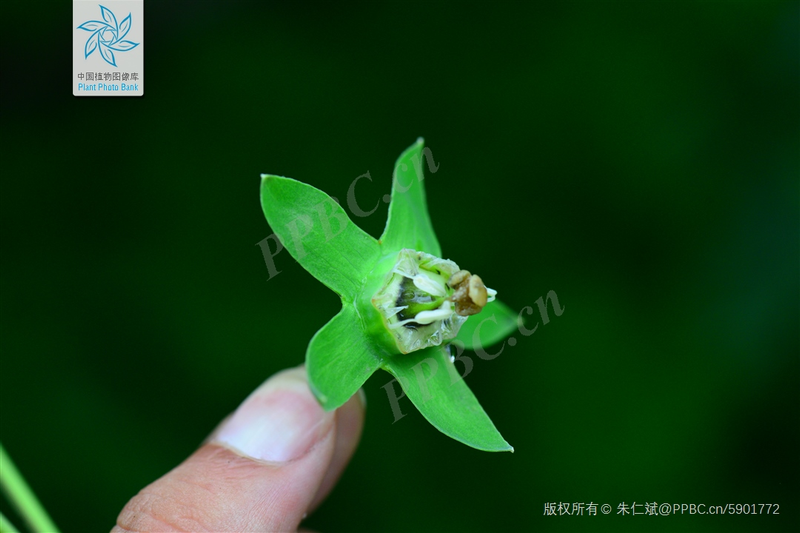 Zinwon's way of making wine