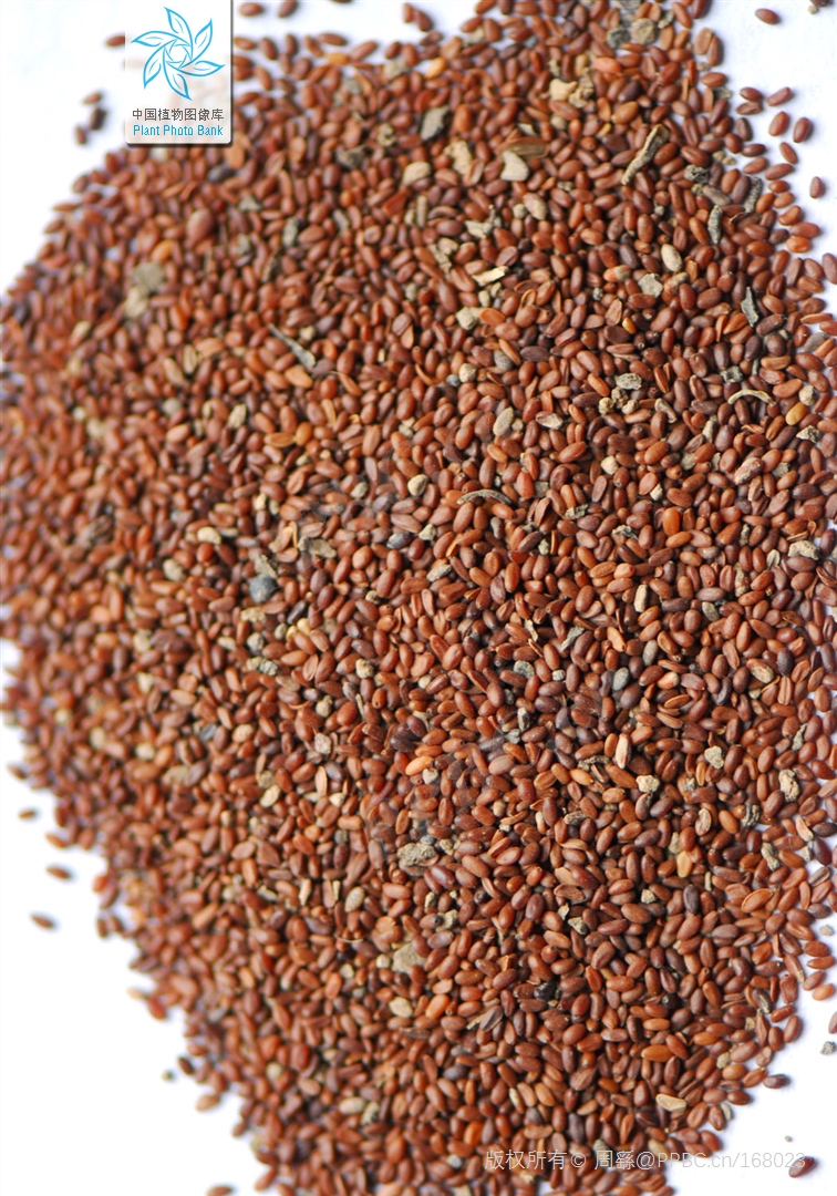 Zinwon's way of making wine