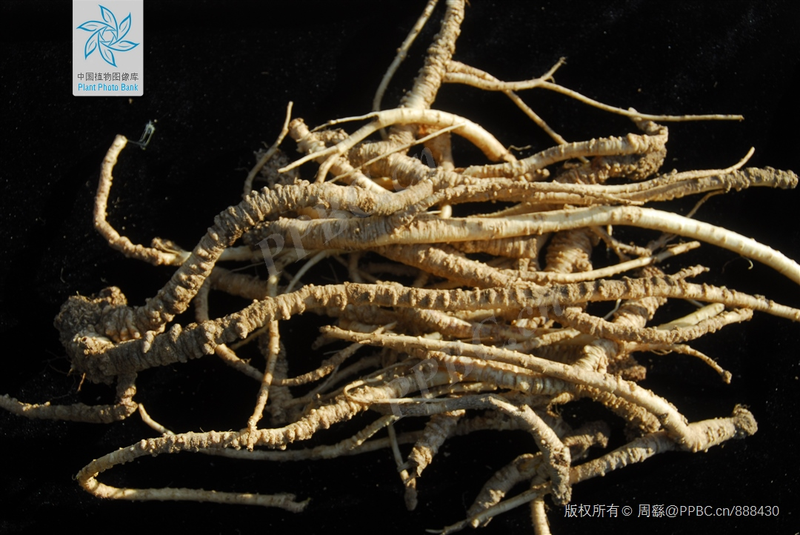 Zinwon's way of making wine