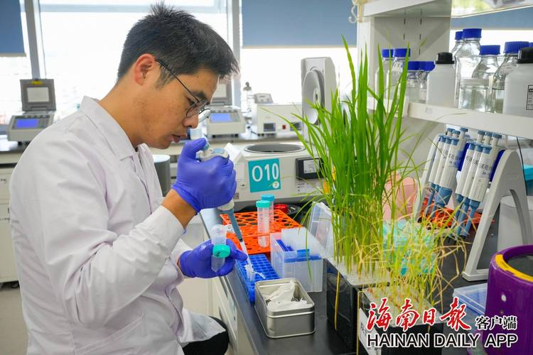 2026东北水稻种植技术