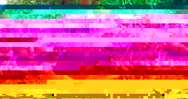 蔬菜大棚种植技术