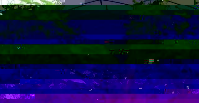 蔬菜大棚种植技术