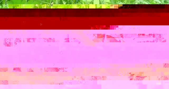 蔬菜大棚种植技术