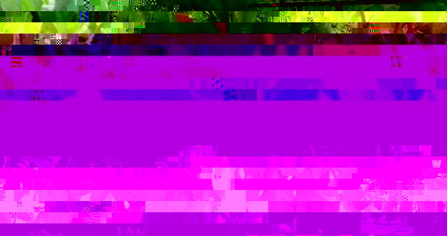 蔬菜大棚种植技术