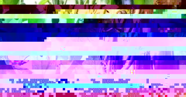 蔬菜大棚种植技术