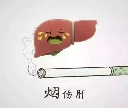 肝炎宣传知识